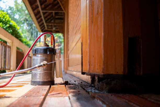 Best Pest Removal Services  in Midway, FL