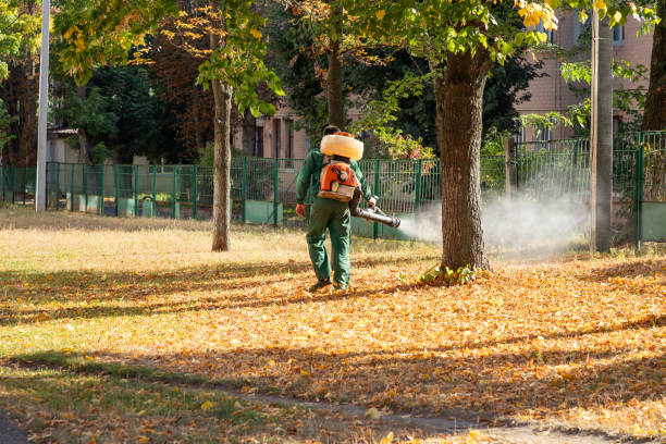 Best Local Pest Control Services  in Midway, FL