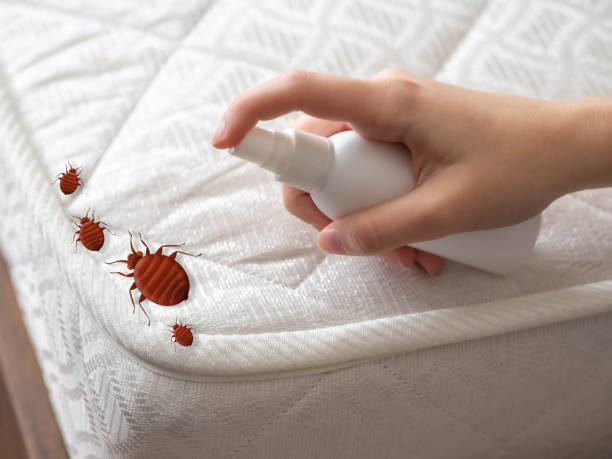 Best Pest Control Near Me  in Midway, FL
