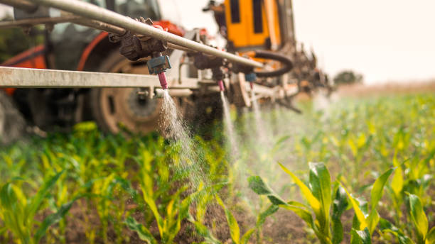 Best Commercial Pest Control Services  in Midway, FL